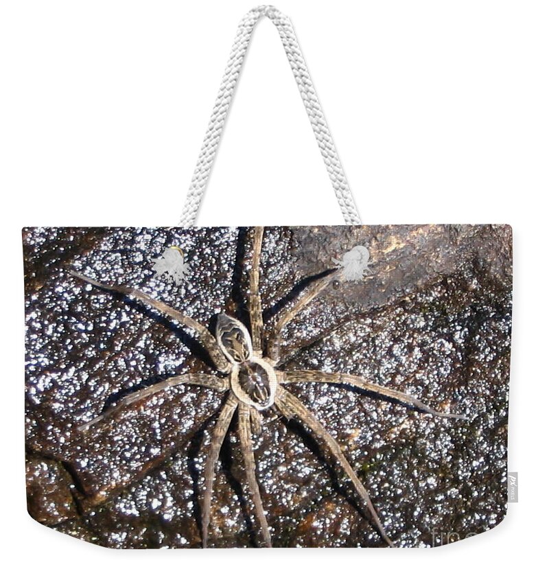 Spider Weekender Tote Bag featuring the photograph Strange Spider by Line Gagne