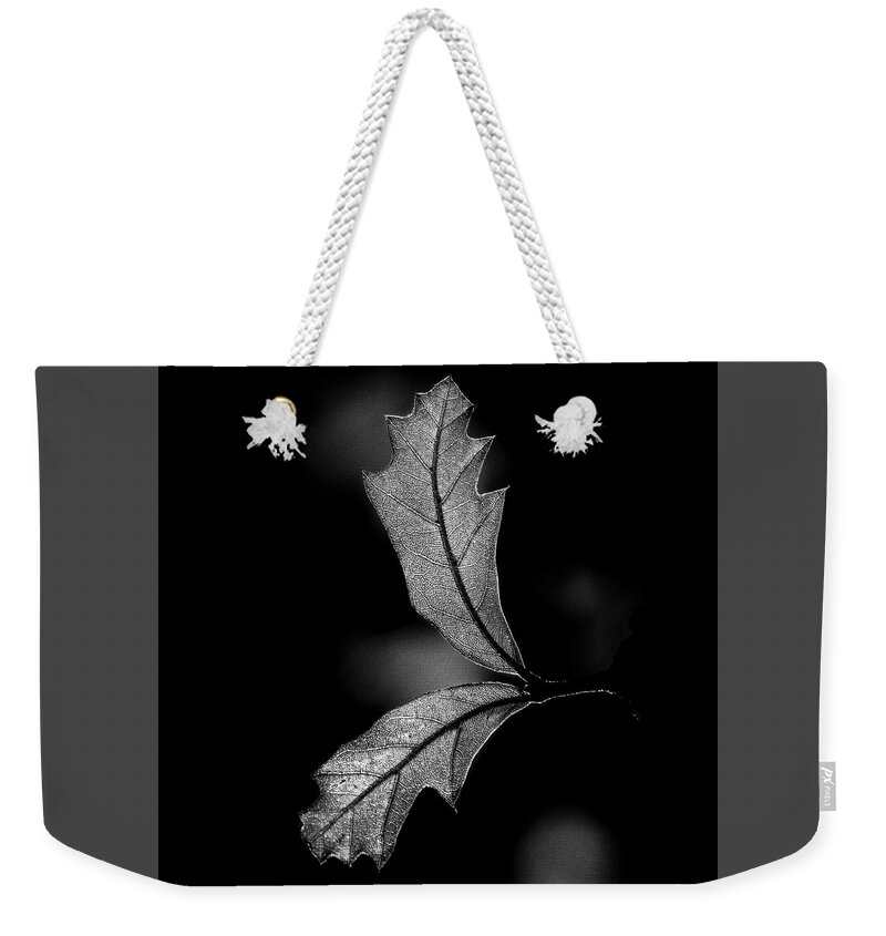 Leaves Weekender Tote Bag featuring the photograph Stranger Than Fiction by Enrique Pelaez