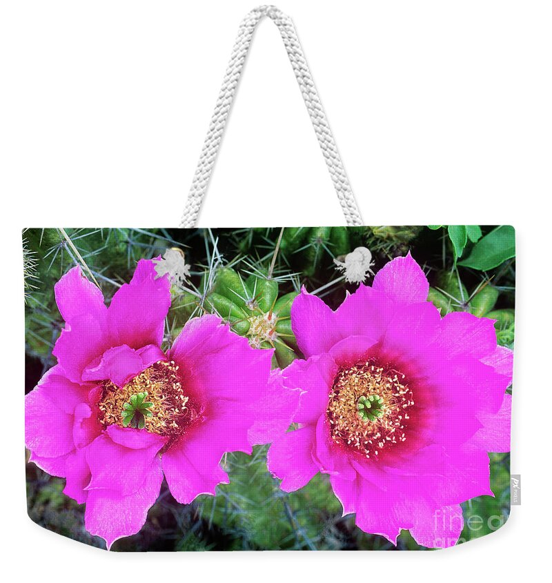 Dave Welling Weekender Tote Bag featuring the photograph Strawberry Cactus Echinocereus Enneacanthus Texas by Dave Welling
