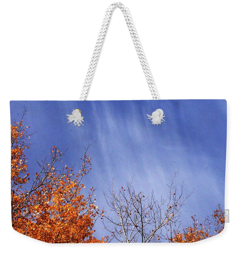 Canada Weekender Tote Bag featuring the photograph Streaks of Autumn by Mary Mikawoz