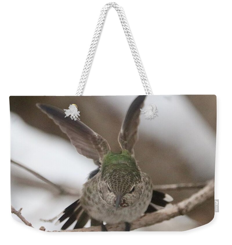 Stretching Hummingbird Weekender Tote Bag featuring the photograph Stretching Hummingbird by Carol Groenen
