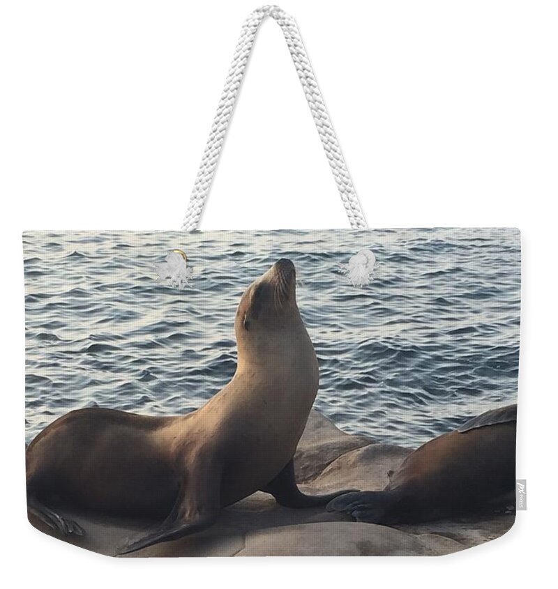 Seal Weekender Tote Bag featuring the photograph Strike a Pose by Lisa White