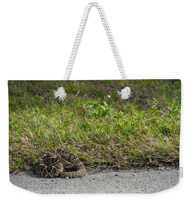 Scenic Weekender Tote Bag featuring the photograph Striking a Pose by Doug Davidson