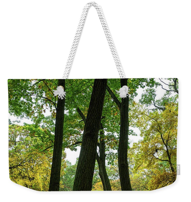 Autumn Weekender Tote Bag featuring the photograph Strolling Through the Park by Kevin Suttlehan