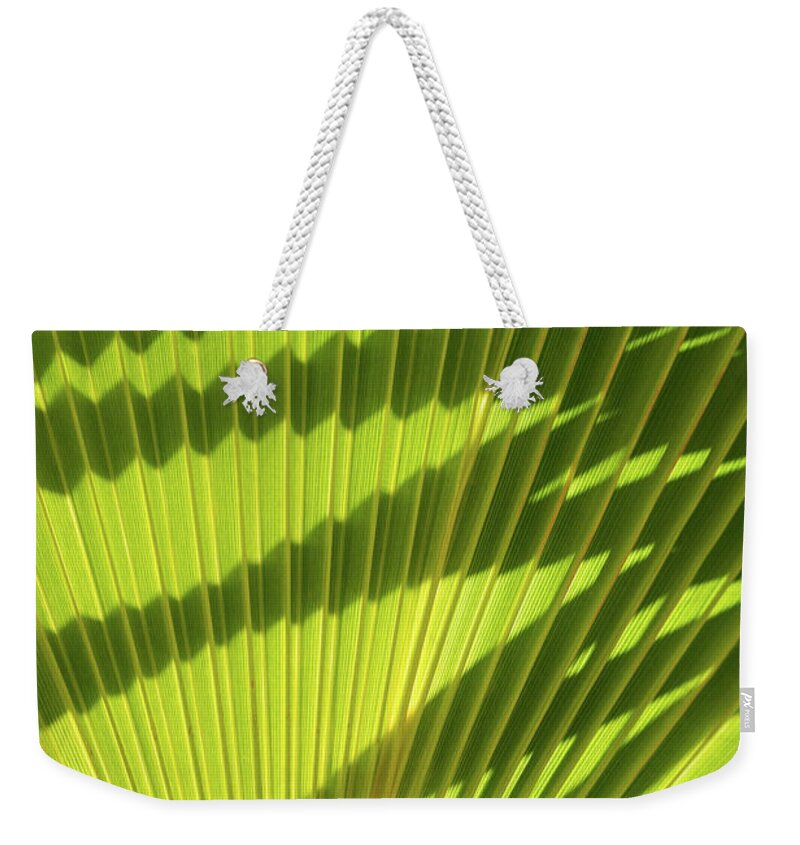 Palm Leaf Weekender Tote Bag featuring the photograph Structure of green palm leaf with shadows 1 by Adriana Mueller