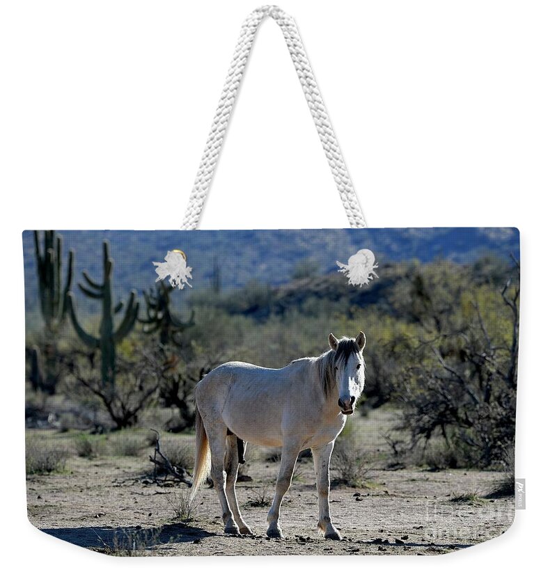 Salt River Wild Horses Weekender Tote Bag featuring the digital art Studly by Tammy Keyes