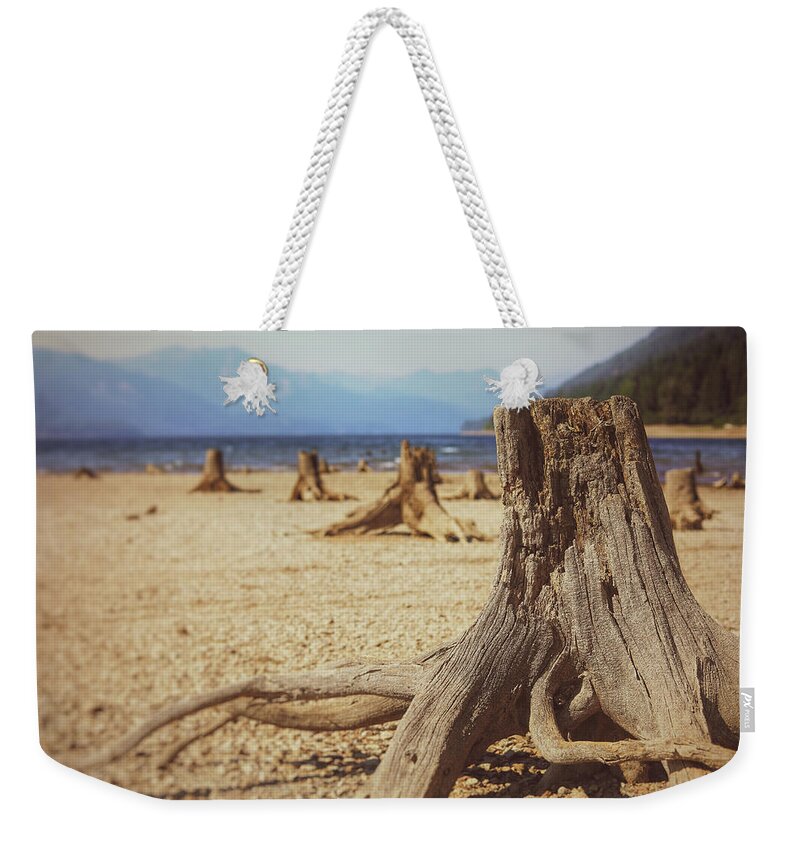 Mountain Weekender Tote Bag featuring the photograph Stump Town by Go and Flow Photos