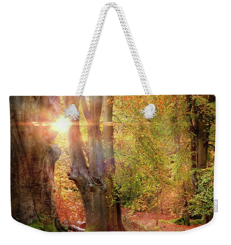 Autumn Weekender Tote Bag featuring the photograph Stunning autumn forest road at sunrise in Norfolk by Simon Bratt