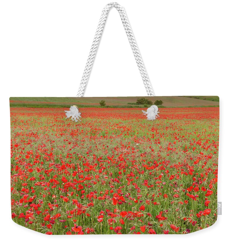 Norfolk Weekender Tote Bag featuring the photograph Norfolk poppy fields at sunrise in England by Simon Bratt