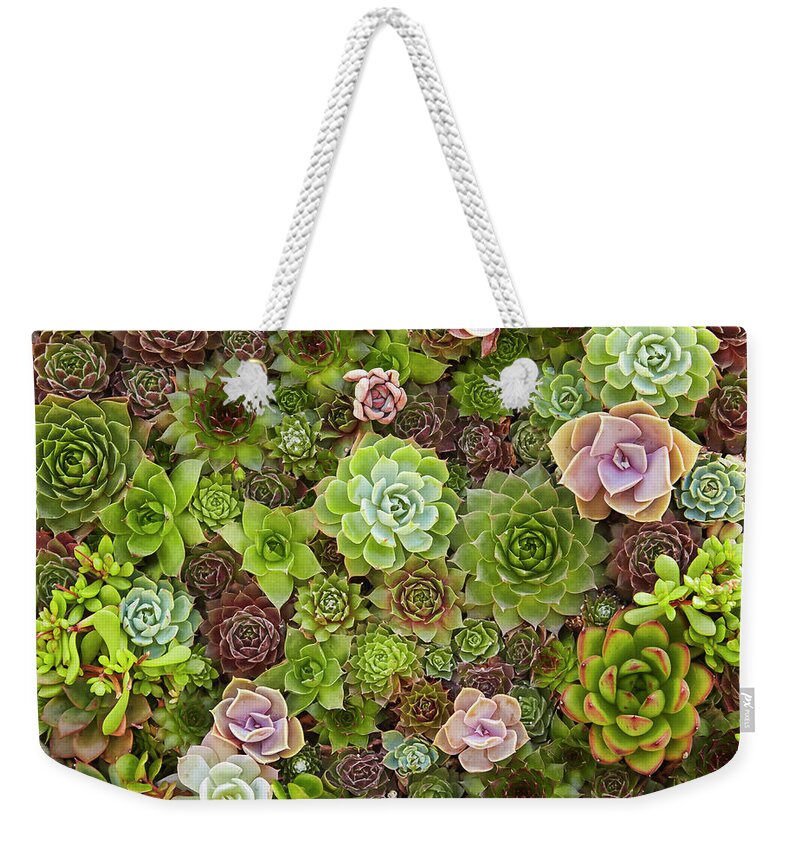 Succulents Weekender Tote Bag featuring the photograph Succulents by Garden Gate magazine