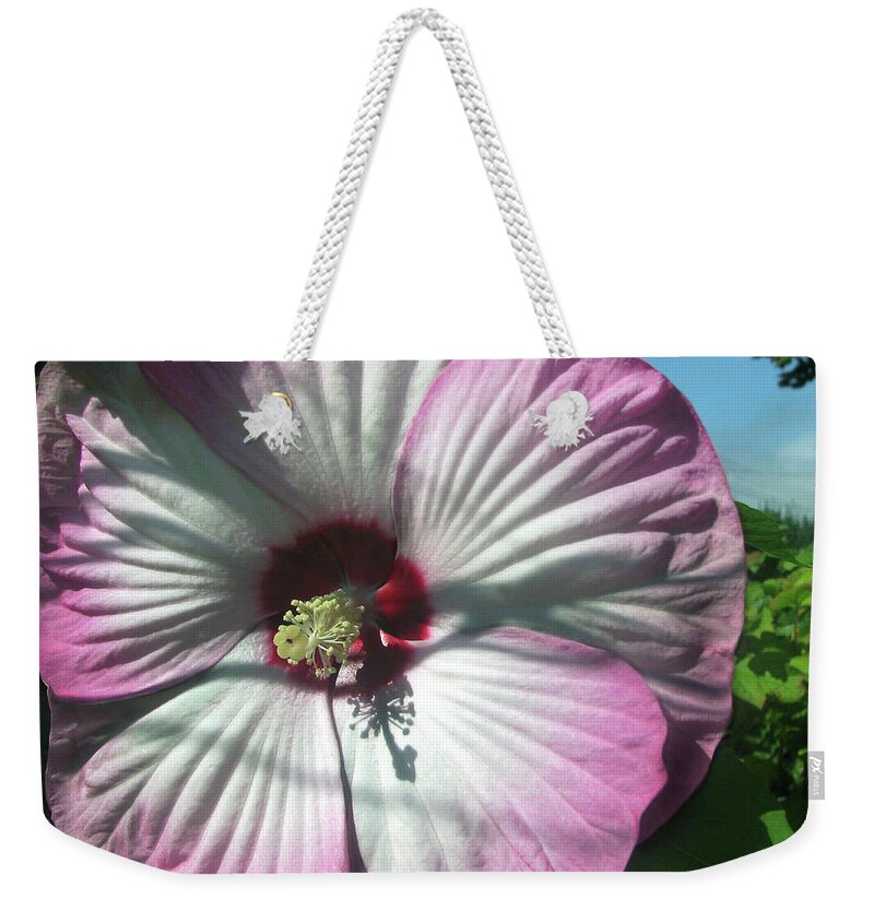 Pink Flower Weekender Tote Bag featuring the photograph Summer Garden Flower 4 AUG 2020 by Jaeda DeWalt