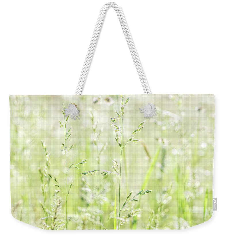 Grass Weekender Tote Bag featuring the photograph Summer Grass by Amelia Pearn