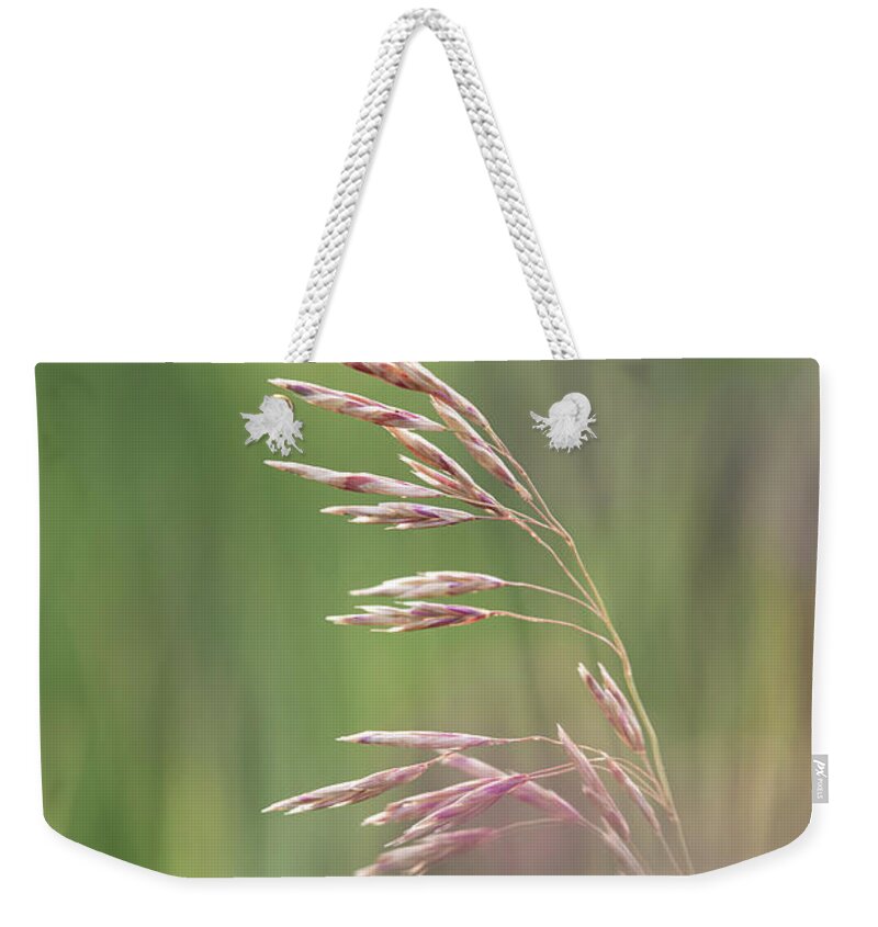 Agriculture Weekender Tote Bag featuring the photograph Summer hay seeds by Karen Rispin
