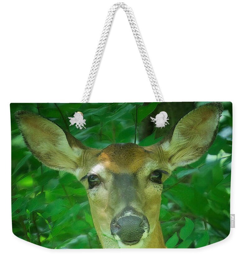 Deer Weekender Tote Bag featuring the photograph Summer Lady by DArcy Evans