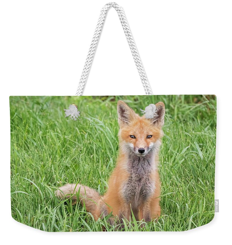 Fox Weekender Tote Bag featuring the photograph Summer Living by Peg Runyan