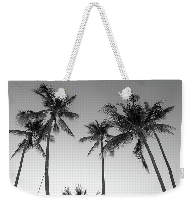Palm Weekender Tote Bag featuring the photograph Summer Palms by Josu Ozkaritz