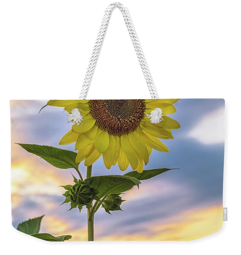 Flowers Weekender Tote Bag featuring the photograph Summer Sunflower 2 by Robert Fawcett
