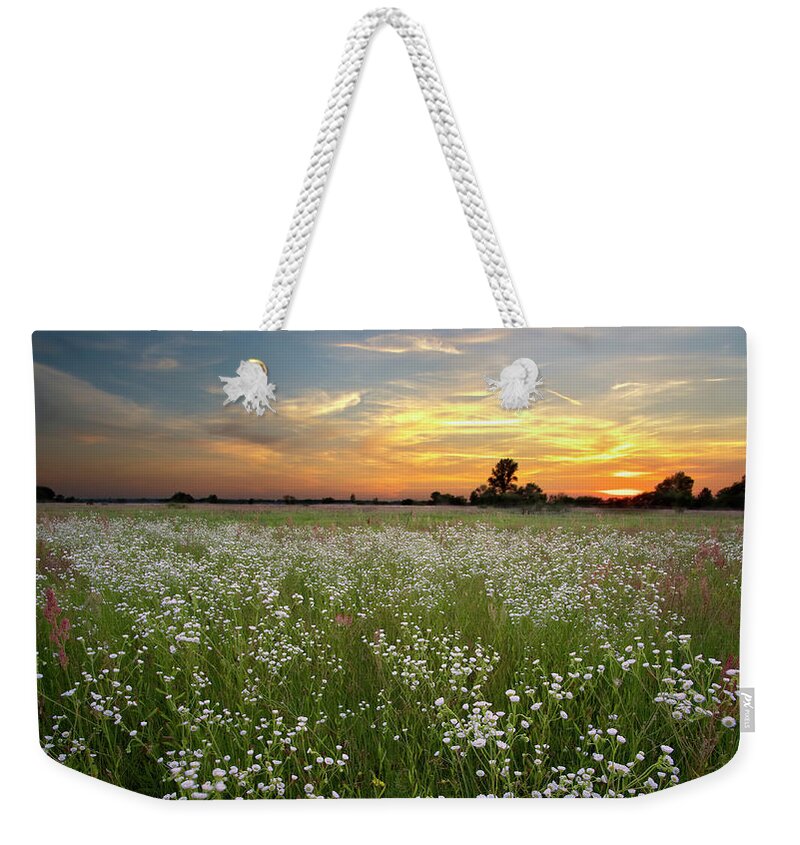 Golden Hour Weekender Tote Bag featuring the photograph Summer Tranquility by Andrii Maykovskyi
