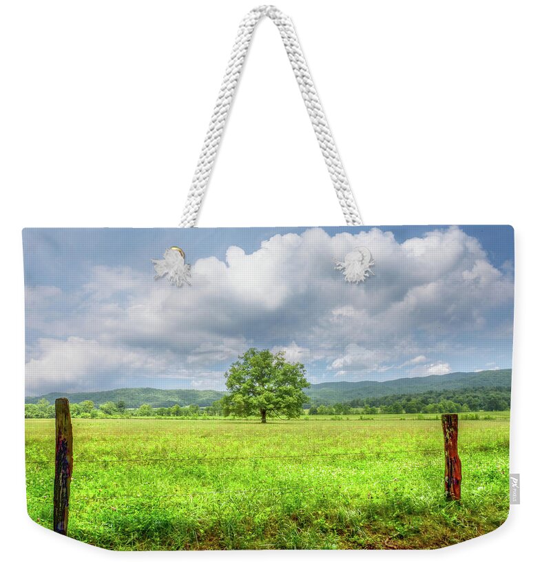 Cades Weekender Tote Bag featuring the photograph Summer Tree in Cades Cove by Debra and Dave Vanderlaan