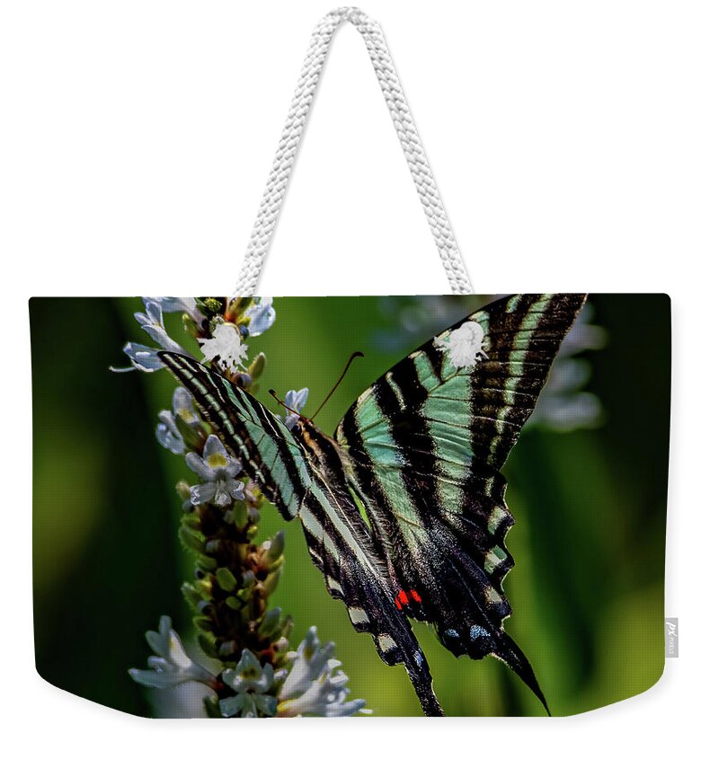 Bloom Weekender Tote Bag featuring the photograph Summer Zebra Swallowtail by Brian Shoemaker