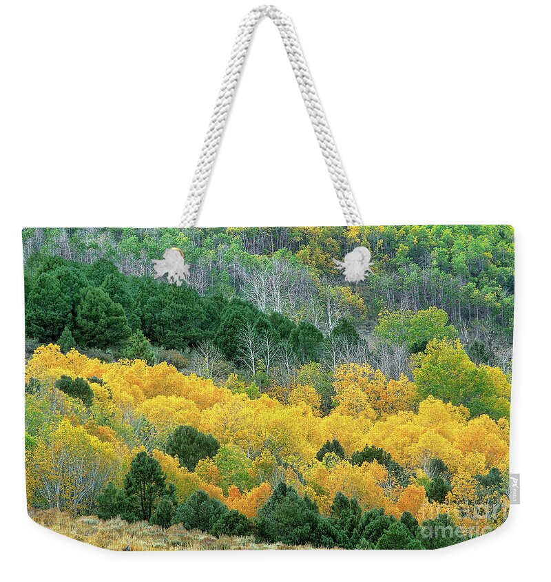 Dave Welling Weekender Tote Bag featuring the photograph Summers Meadow Eastern Sierras California by Dave Welling