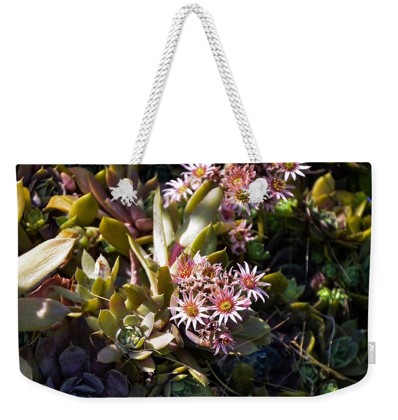 Hens And Chicks Succulents Weekender Tote Bag featuring the photograph Summertime Succulents by Kristin Hatt