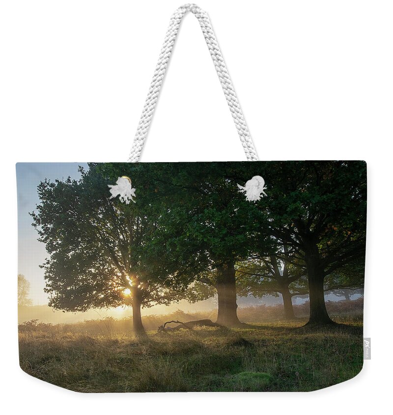 Sunrise Weekender Tote Bag featuring the photograph Sun breaking through the trees by Gareth Parkes