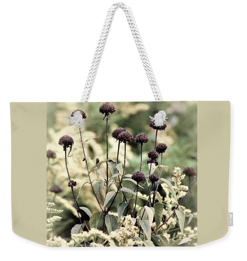 Dried Flowers Weekender Tote Bag featuring the photograph Sun Dried Flowers And Goldenrod by Christina Rollo