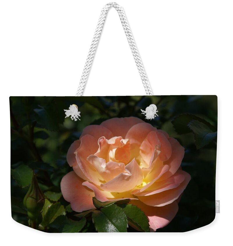  Weekender Tote Bag featuring the photograph Sun-kissed Rose by Heather E Harman