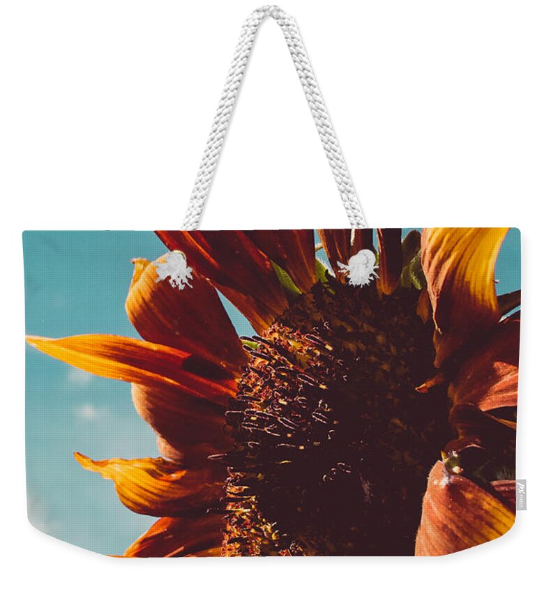 Sunflower Weekender Tote Bag featuring the photograph Sun Seeker Sunflower by Bonny Puckett