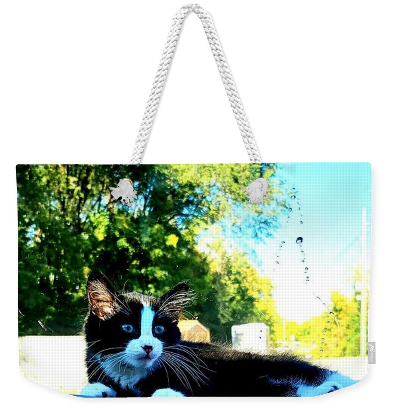 Sunbathing Weekender Tote Bags