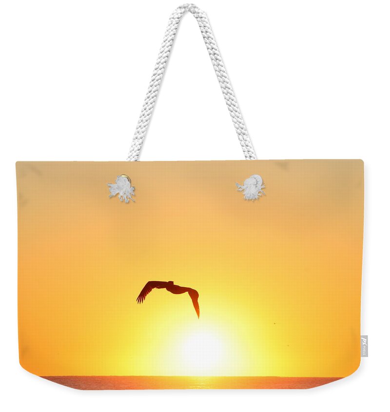 Pelican Weekender Tote Bag featuring the photograph Sunbird by Kathleen Illes