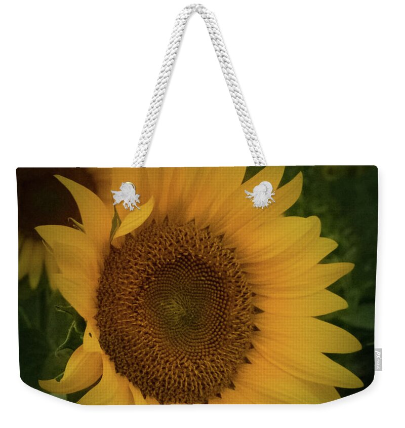 Sunburst Weekender Tote Bag featuring the photograph Sunburst Sunflower by Joe Kopp