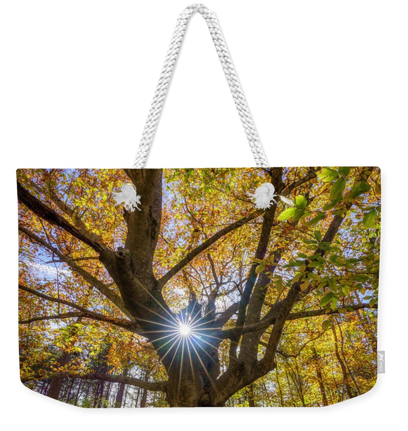 Arkansas Weekender Tote Bag featuring the photograph Sunburst Tree by David Dedman