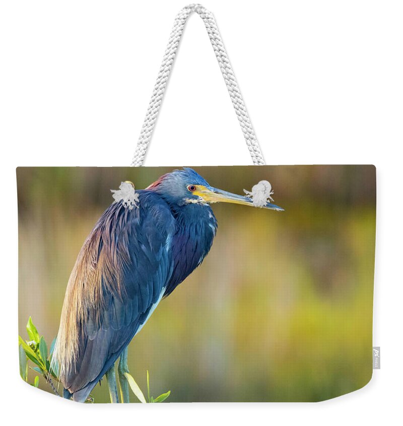 R5-2601 Weekender Tote Bag featuring the photograph Sunday morning scout by Gordon Elwell