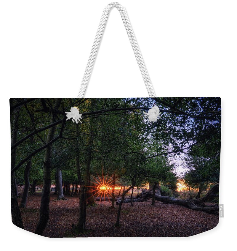 Framing Places Photography Weekender Tote Bag featuring the photograph Sunflare Through The Trees by Framing Places