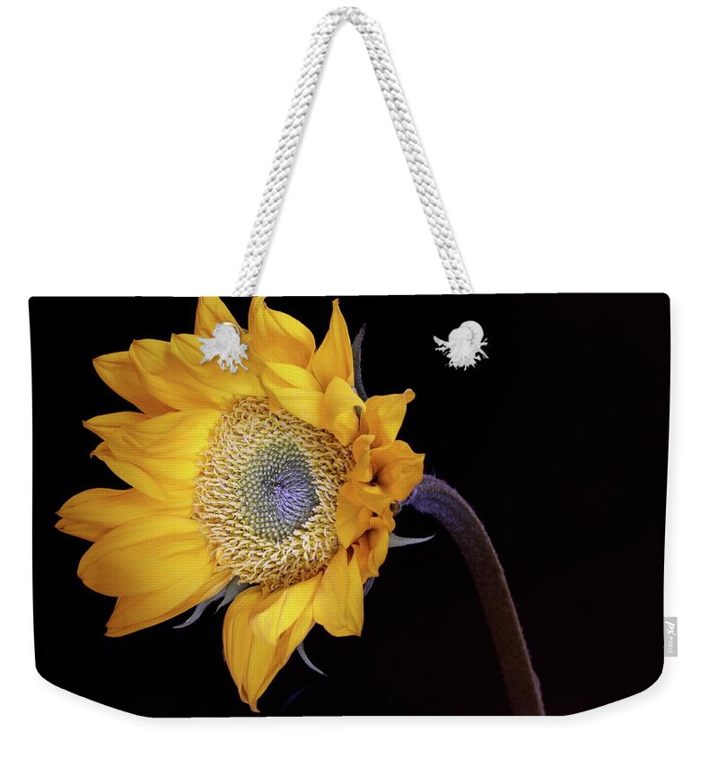 Macro Weekender Tote Bag featuring the photograph Sunflower 031708 by Julie Powell