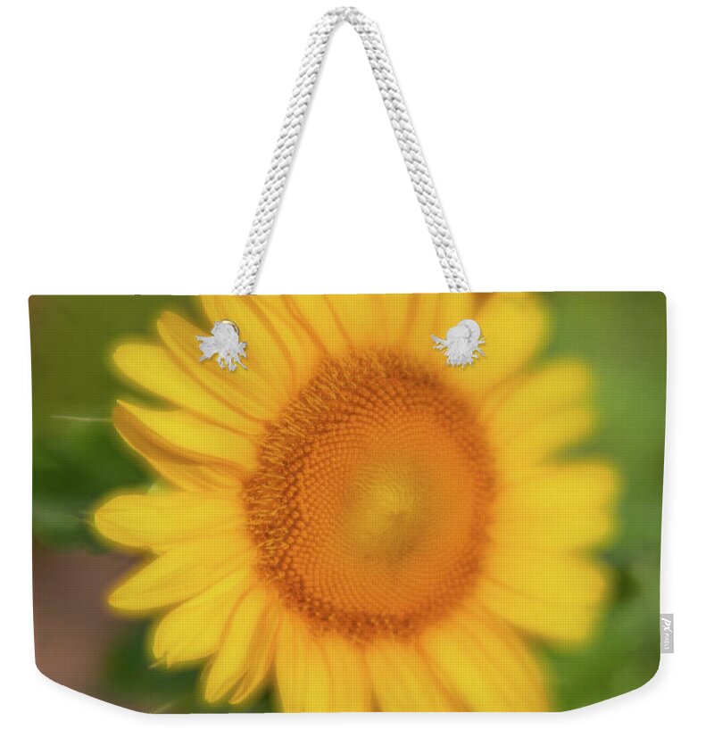 2020 Weekender Tote Bag featuring the photograph Sunflower-1 by Charles Hite
