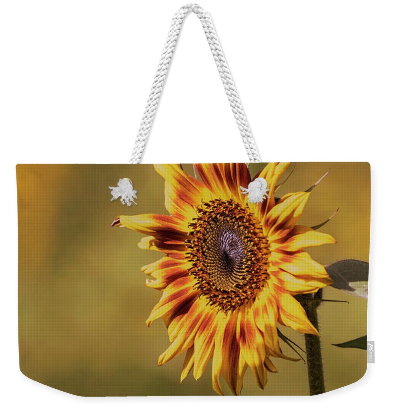Sunflower Weekender Tote Bag featuring the photograph Sunflower 2019-1 by Thomas Young
