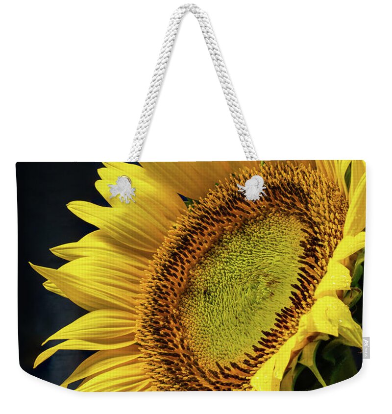 Sunflower Weekender Tote Bag featuring the photograph Sunflower 4 by Dimitry Papkov