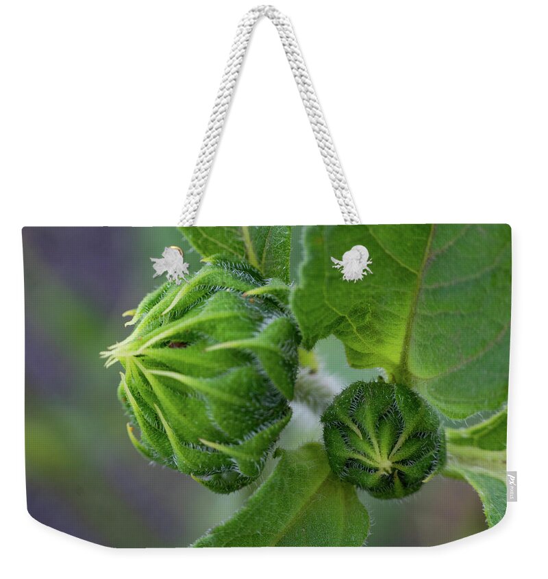 Sunflower Weekender Tote Bag featuring the photograph Sunflower Buds by Bonny Puckett