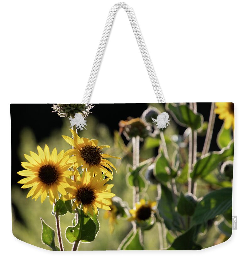 Summer Weekender Tote Bag featuring the photograph Sunflower Collection - bottom by Mark Berman