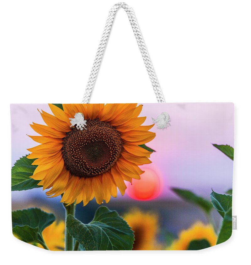 Bulgaria Weekender Tote Bag featuring the photograph Sunflower by Evgeni Dinev