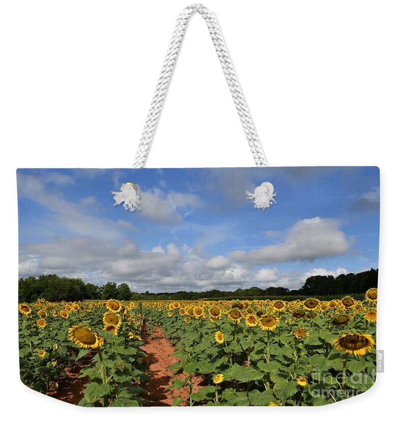 Sunflower Field Weekender Tote Bag featuring the photograph SC Sunflower Fields by Julie Adair