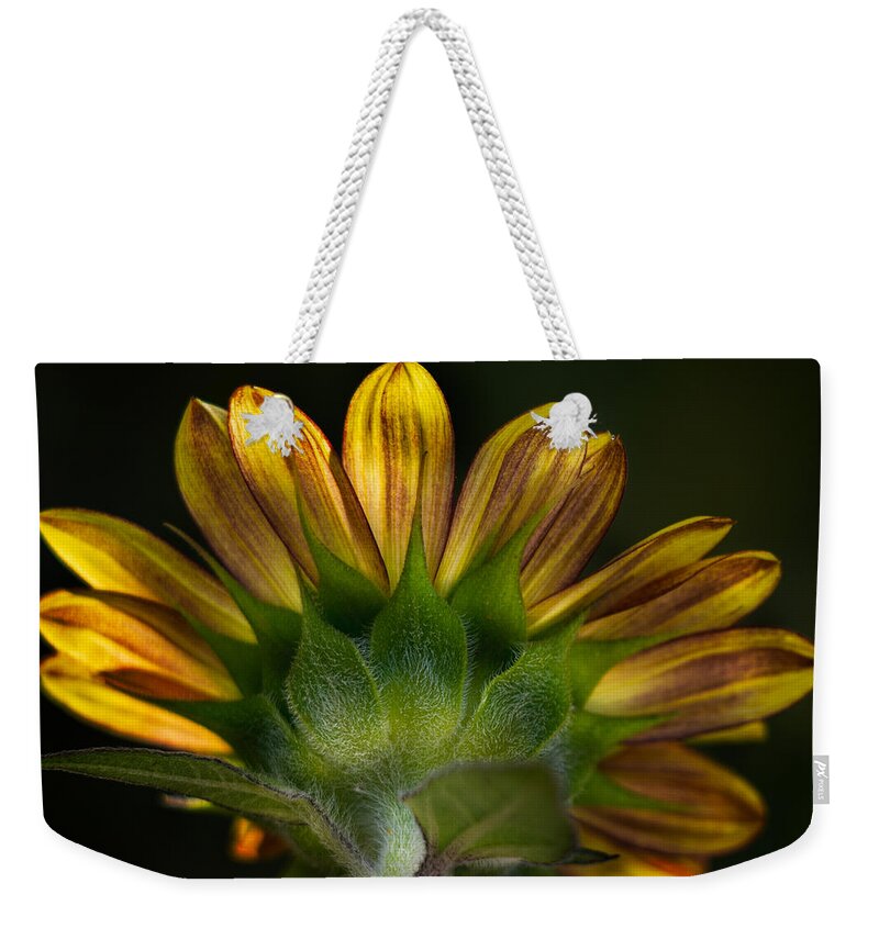 Sunflower Weekender Tote Bag featuring the photograph Sunflower in Shadow by Carrie Hannigan