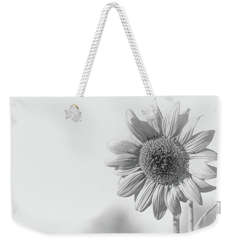 Agriculture Weekender Tote Bag featuring the photograph Sunflower by Mike Fusaro