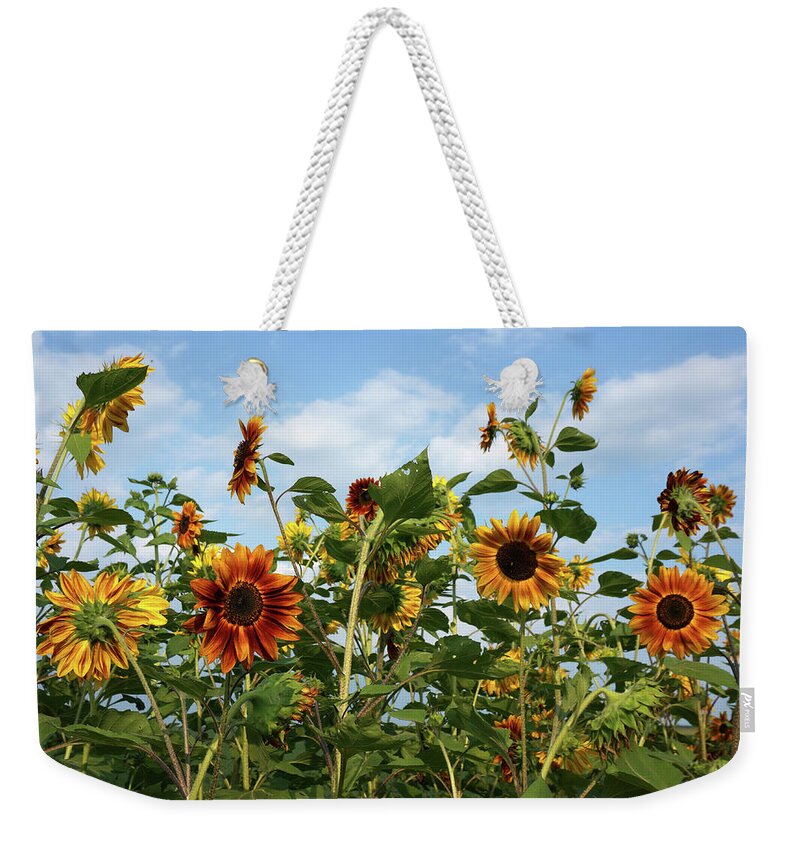 Sunflower Patch Weekender Tote Bag featuring the photograph Sunflower Patch by Dylan Punke