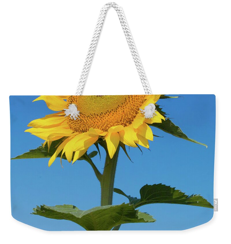Sunflower Weekender Tote Bag featuring the photograph Sunflower Portrait by Kimberly Blom-Roemer