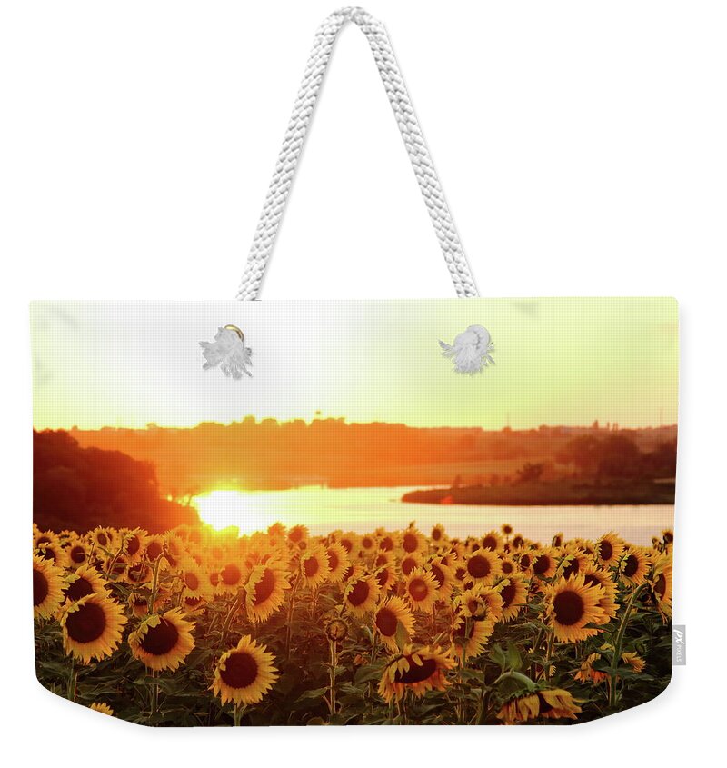 Summer Weekender Tote Bag featuring the photograph Sunflowers At Sunset by Lens Art Photography By Larry Trager