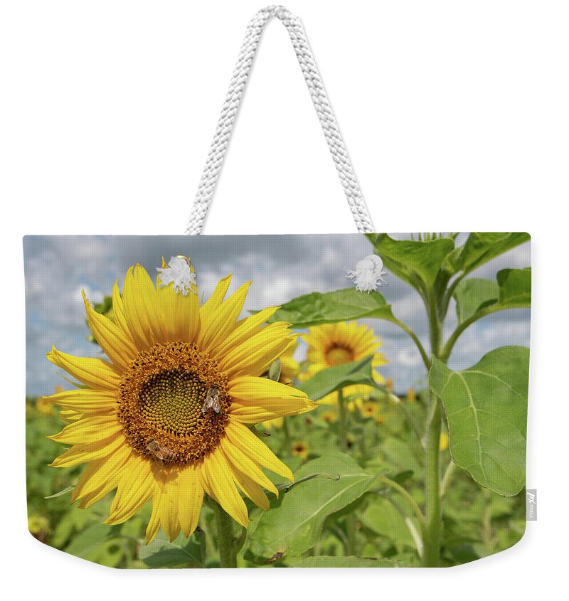 Sunflower Weekender Tote Bag featuring the photograph Sunflower with Honeybee by Carolyn Hutchins